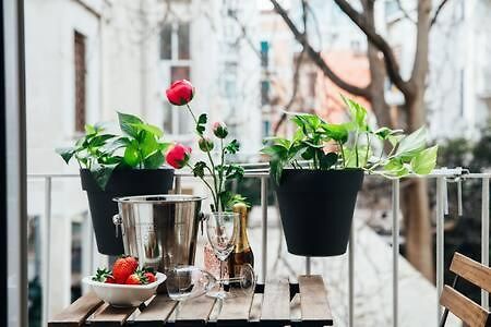 Flores Home 巴里 外观 照片